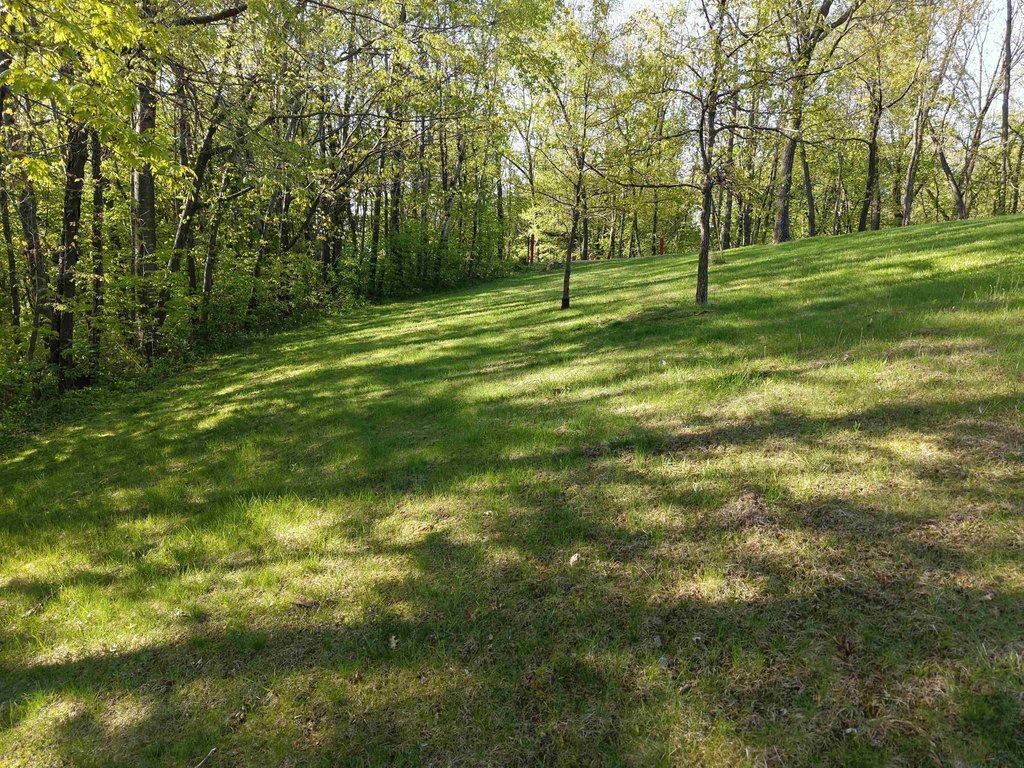Picture 17
