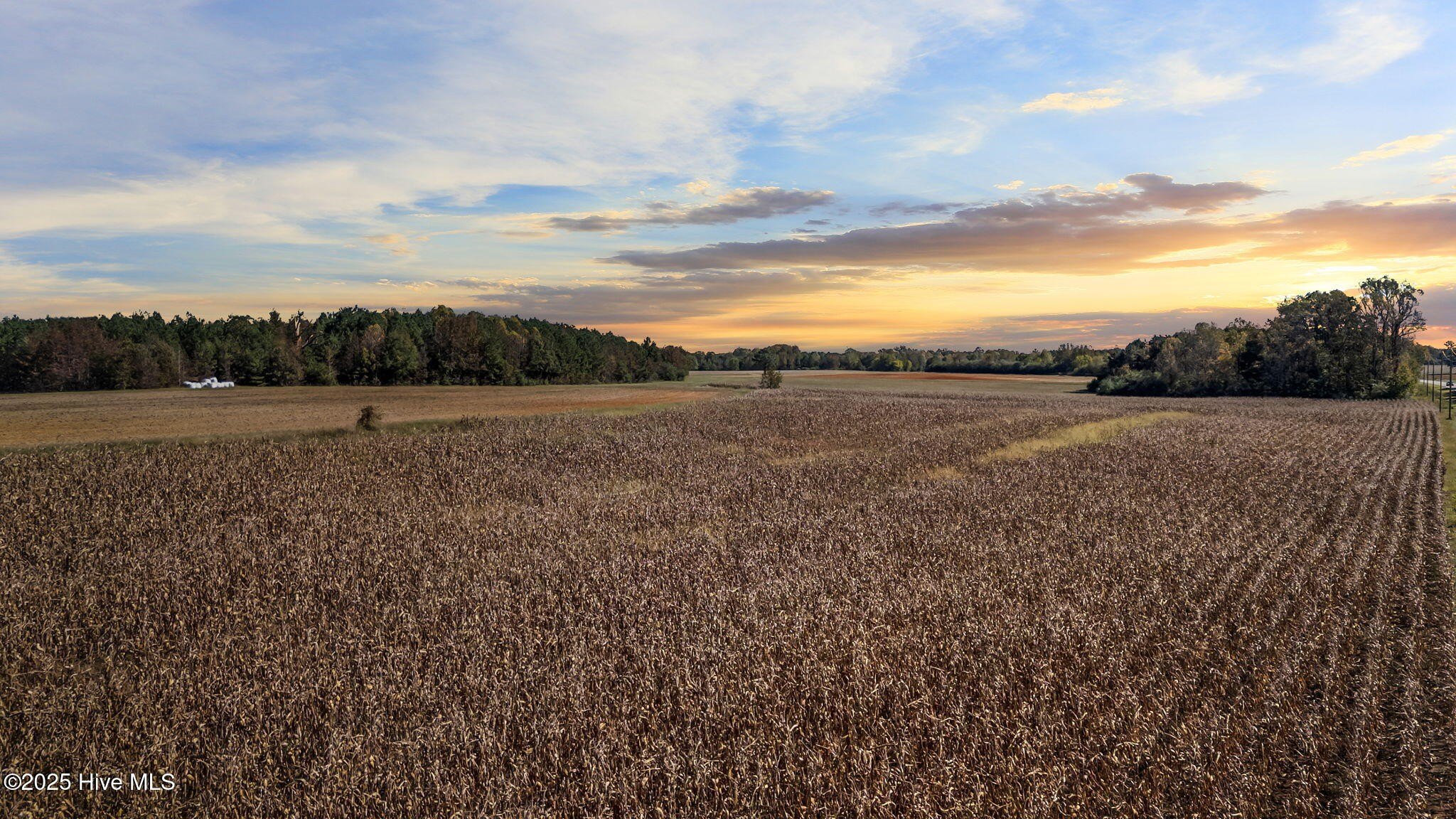 Unrestricted Land in Whitakers, NC