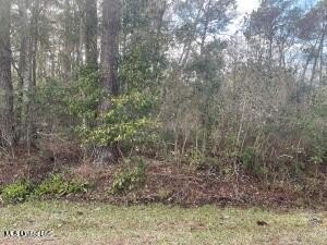 Buildable Lot in Ocean Springs
