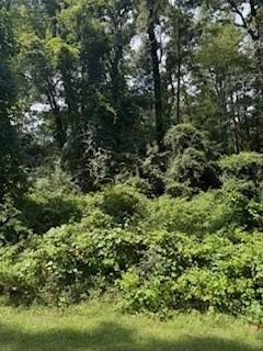 Residential Lot in Pendleton Harbor
