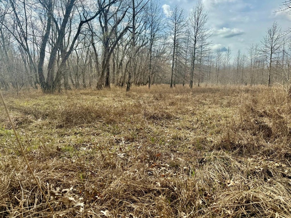 Picture 25