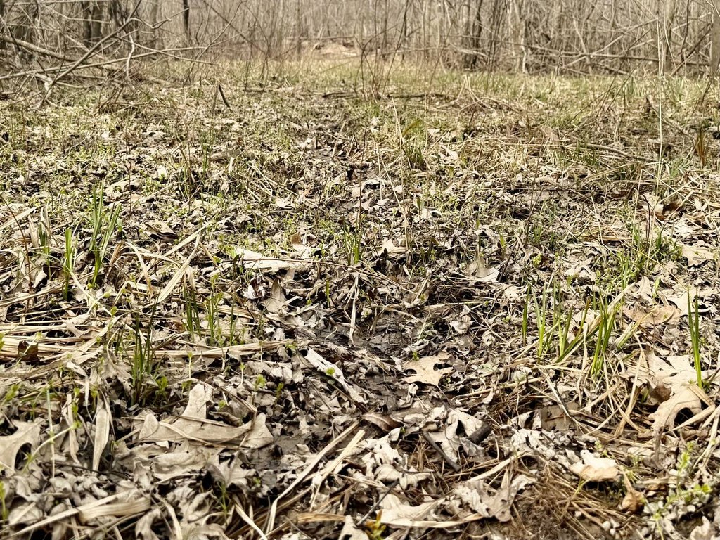 Picture 31