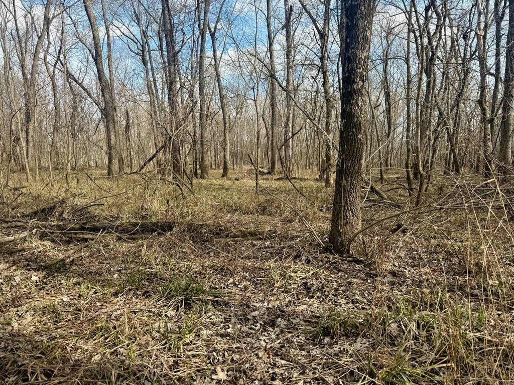 Picture 13