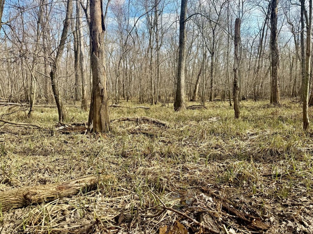 Picture 11