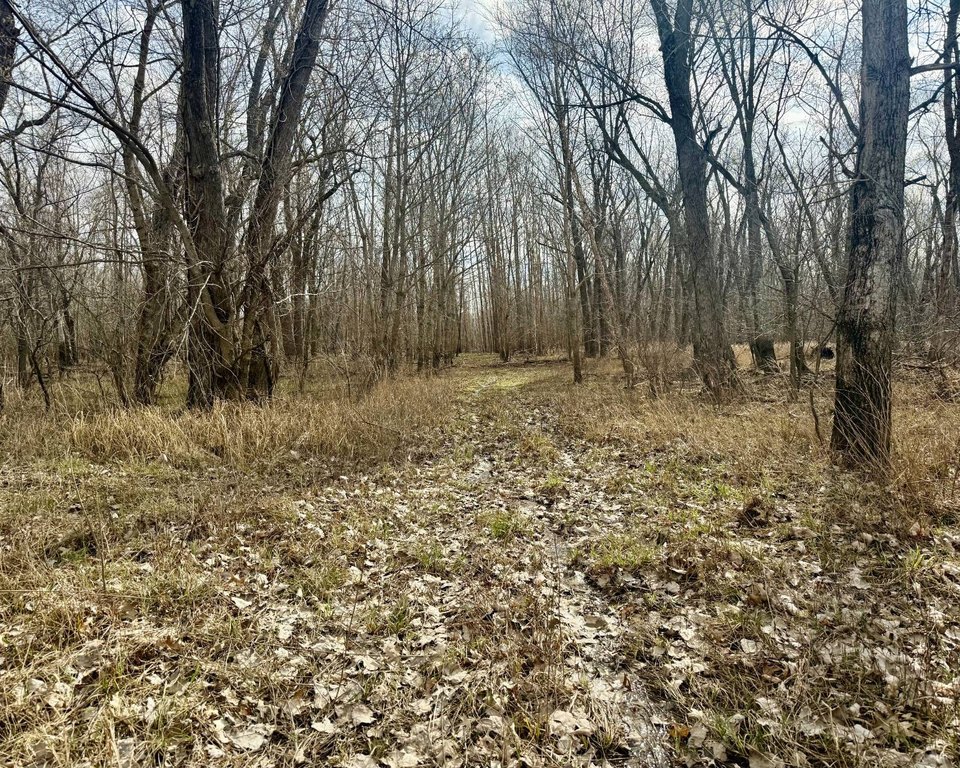 Picture 26
