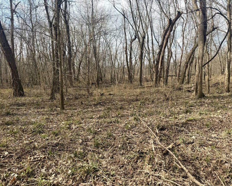 Picture 22