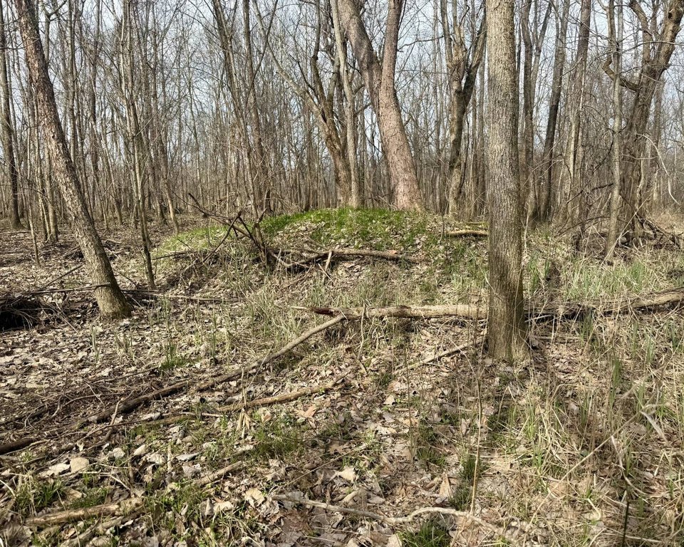 Picture 21