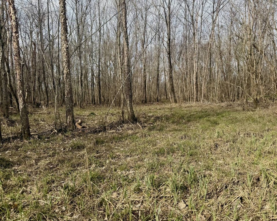Picture 19