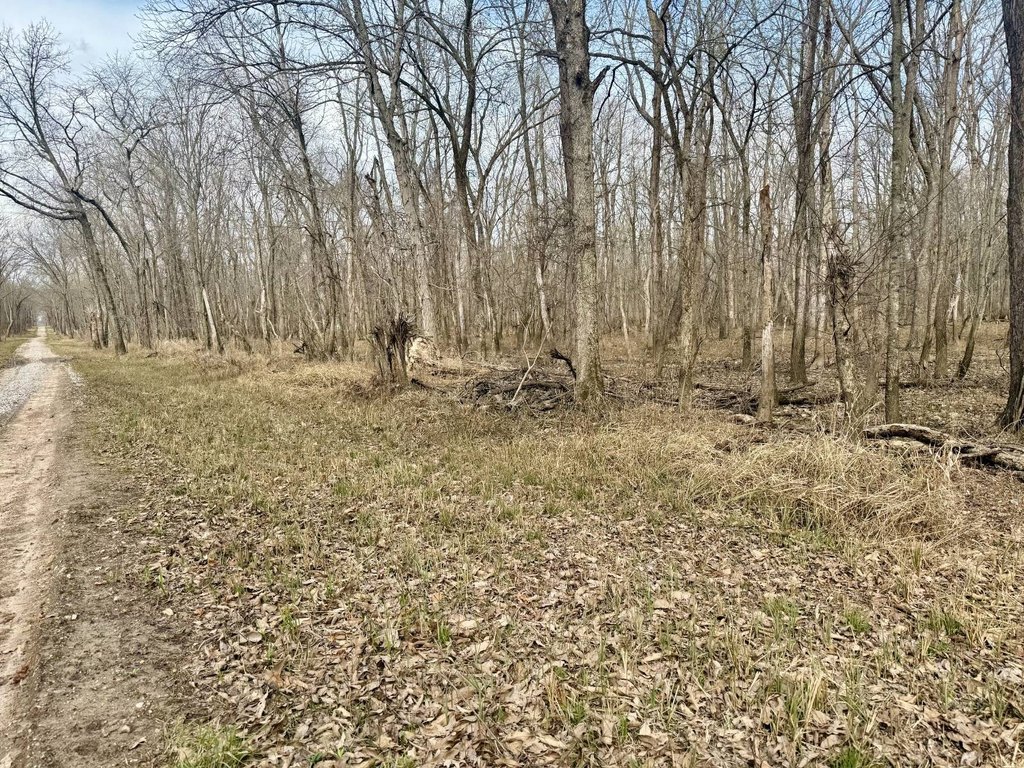 Picture 34