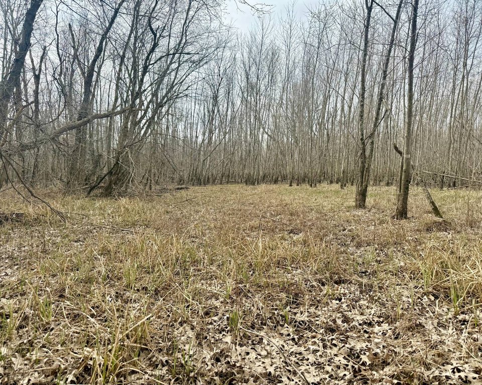 Picture 30