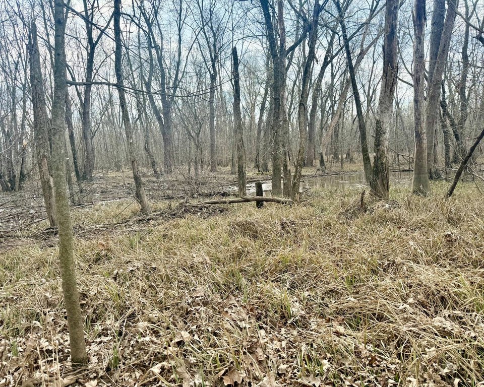 Picture 24