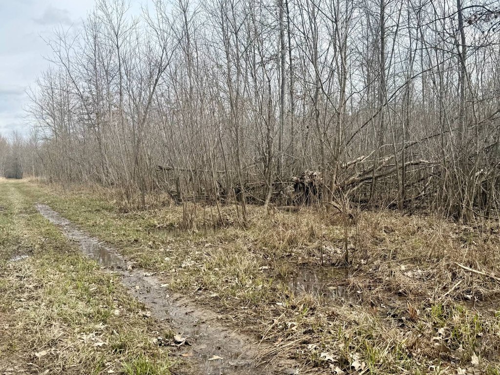 Picture 32