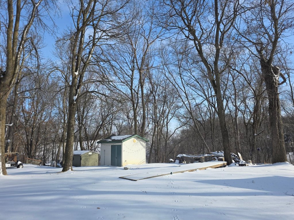 Picture 14