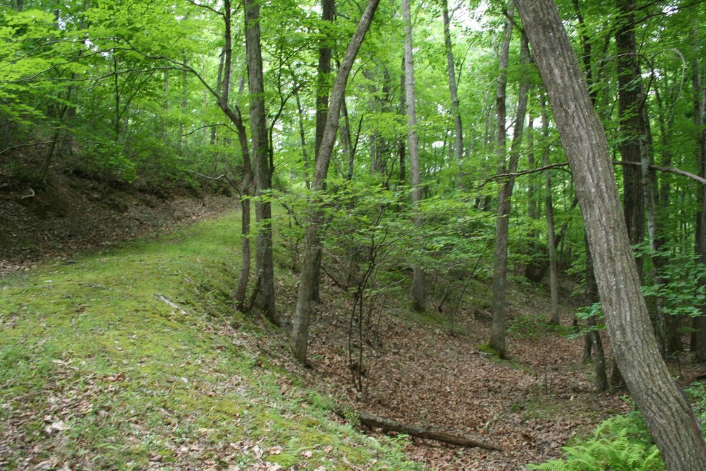 Picture 9