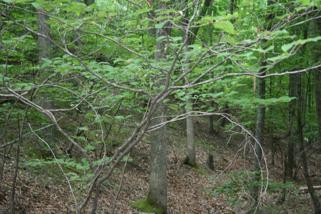 Picture 7