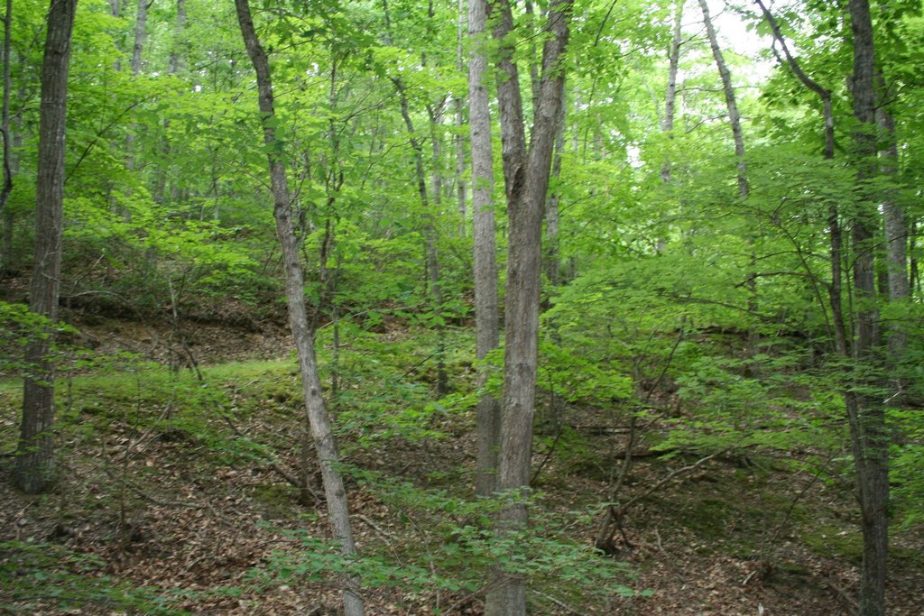 Picture 6