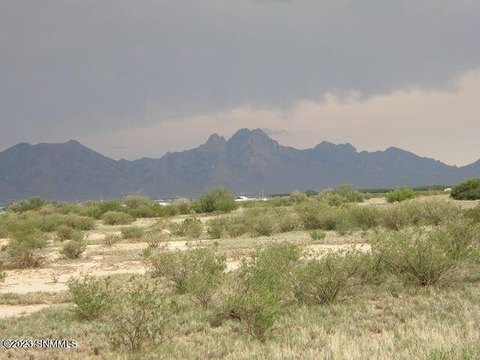 Las Cruces Land For Sale