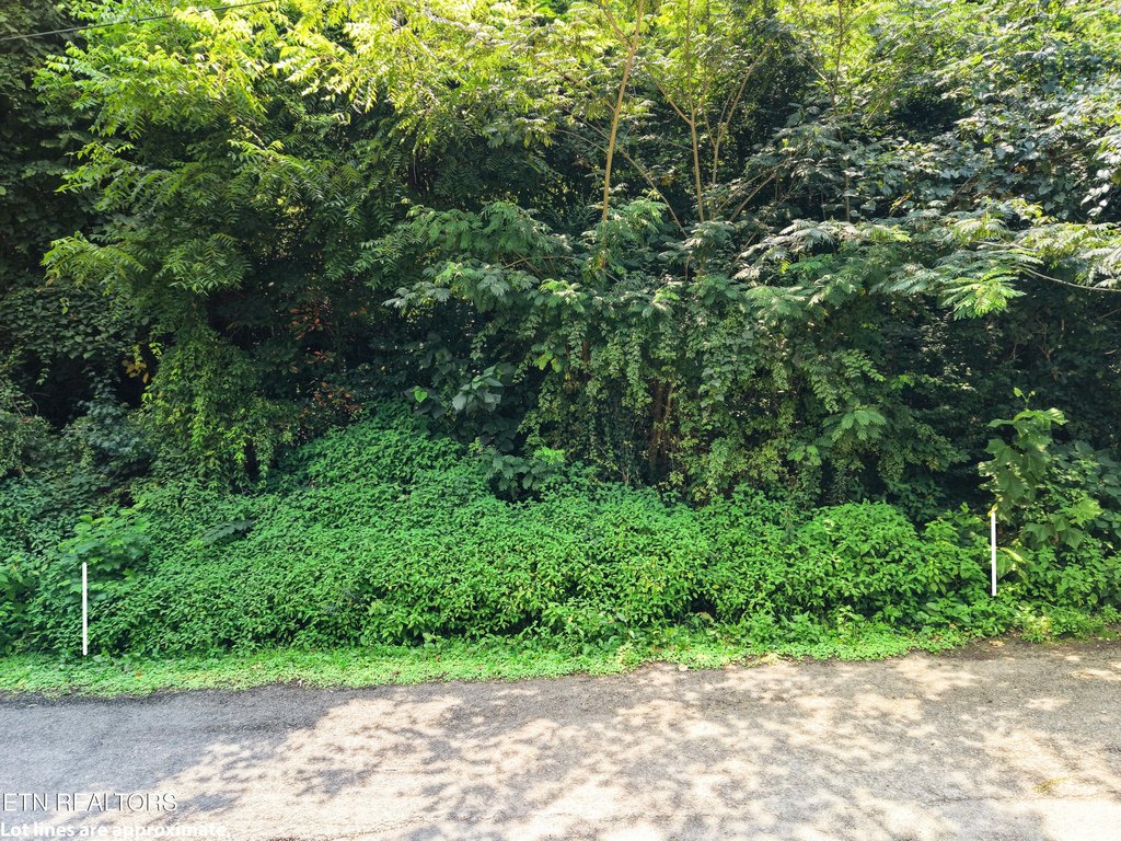 Picture 14