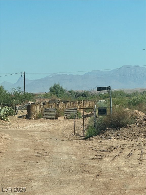 Picture 15