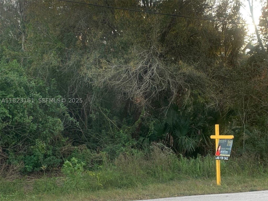 Picture 4
