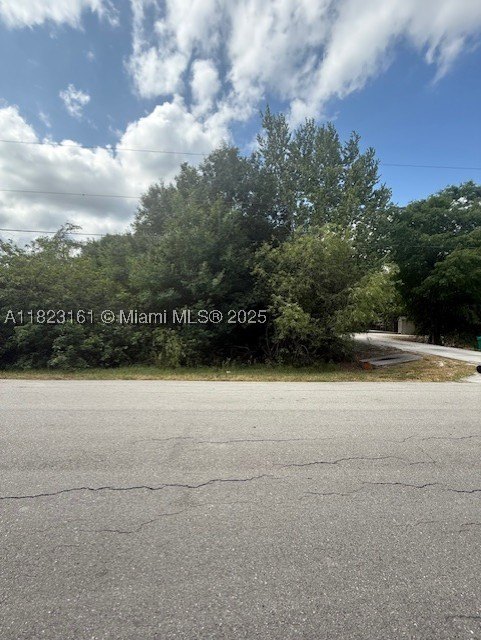 Picture 6