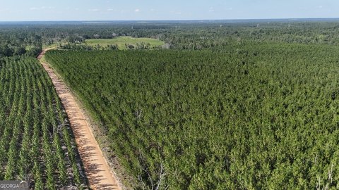 Appling County Land Near River
