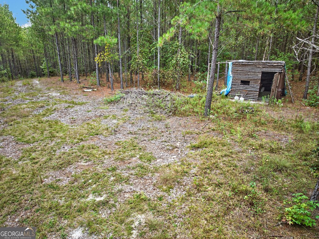 Picture 14