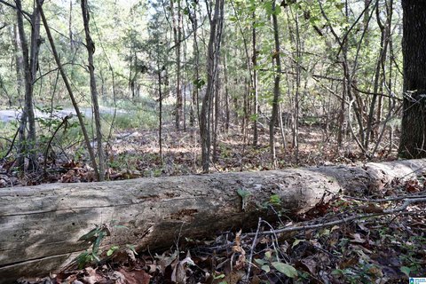 LAND - PINSON, AL