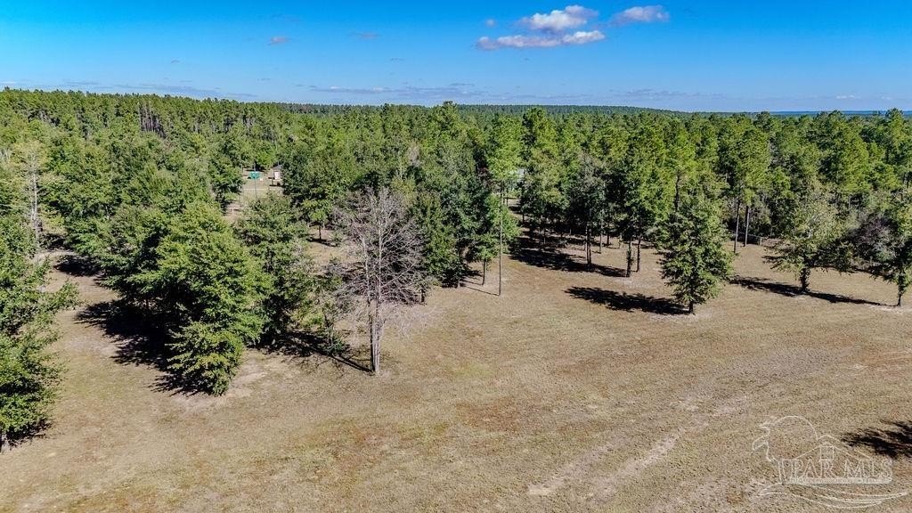 Molino, Florida Land Opportunity