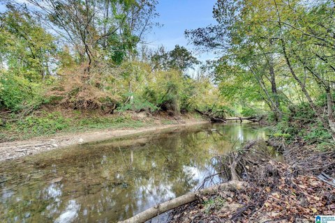 LAND/LOTS, HOOVER, AL