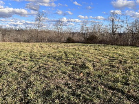 Land, Tyner, KY