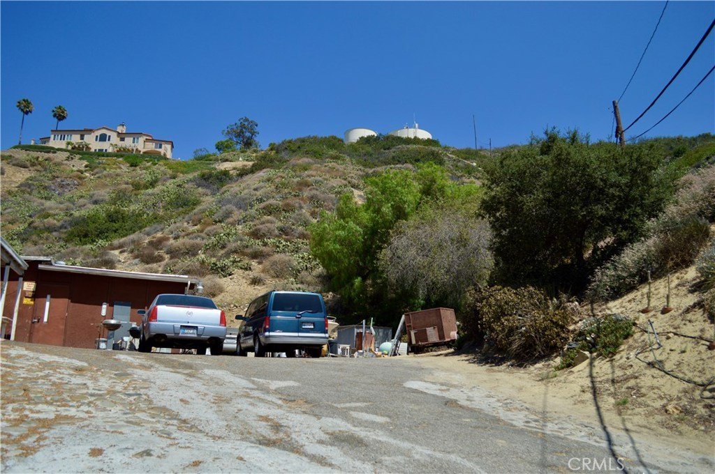 Picture 8