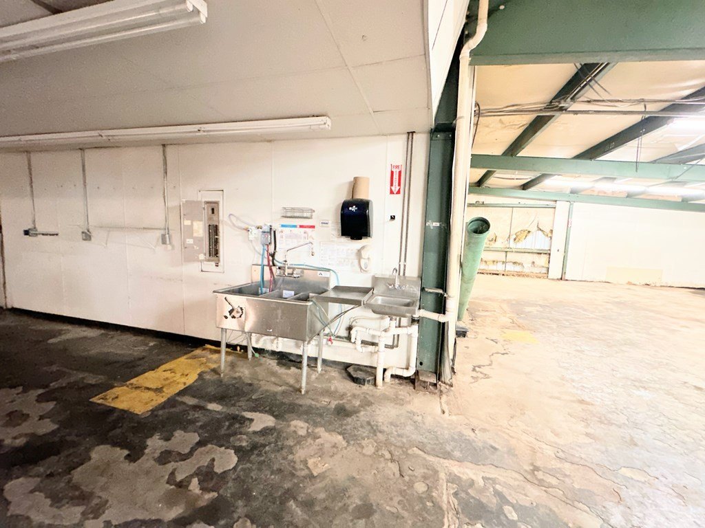 Picture 15
