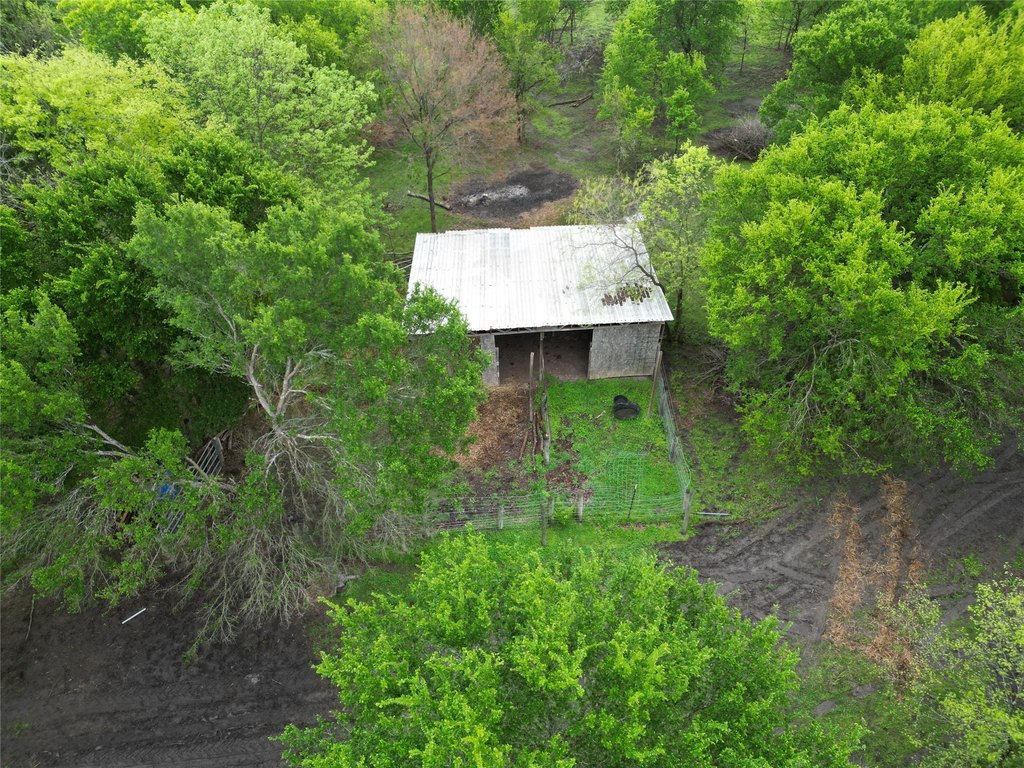 Picture 9