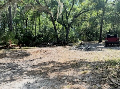 LAND - BRANDON, FL