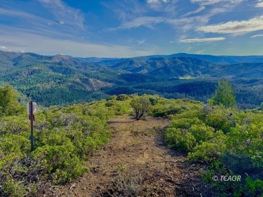 Expansive Acreage with Mountain Views