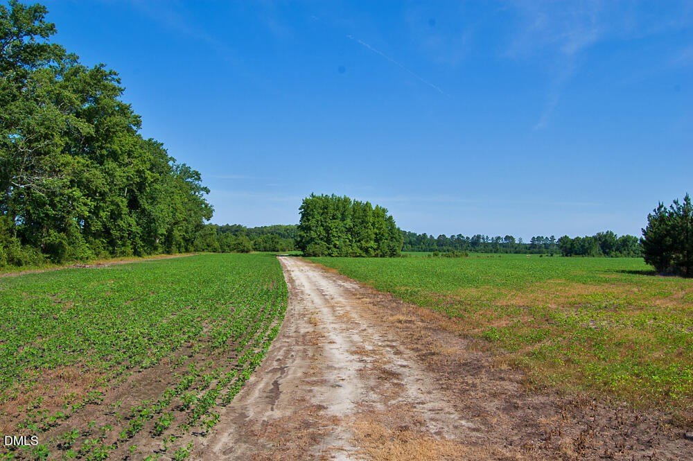 Picture 22