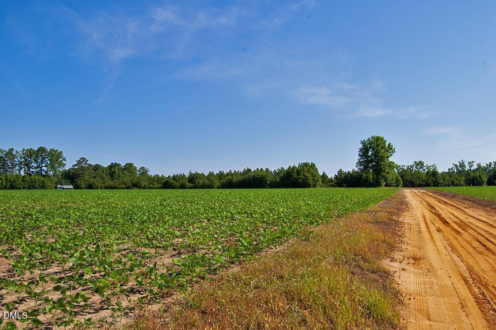 Picture 20