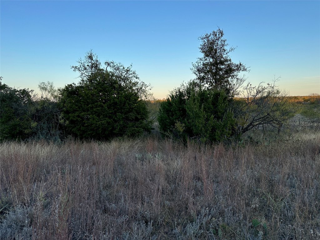 Picture 8