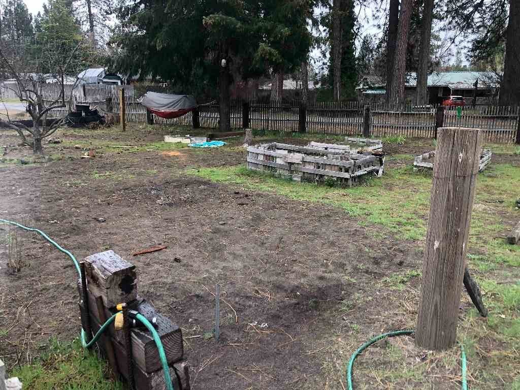 Picture 31