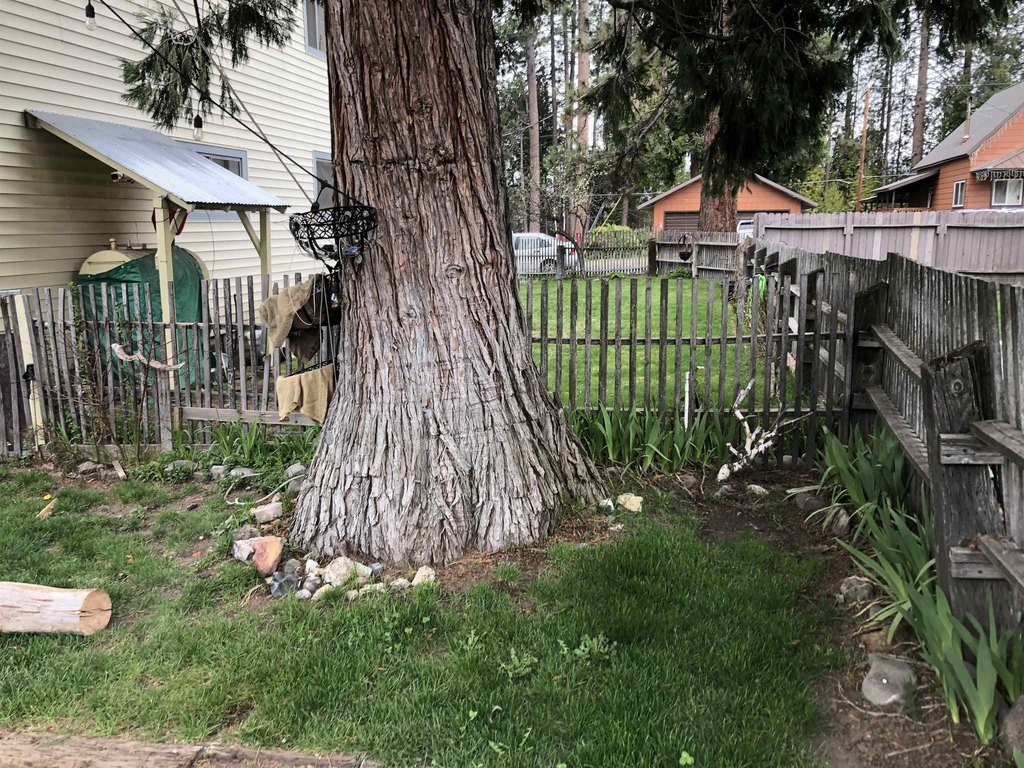 Picture 28