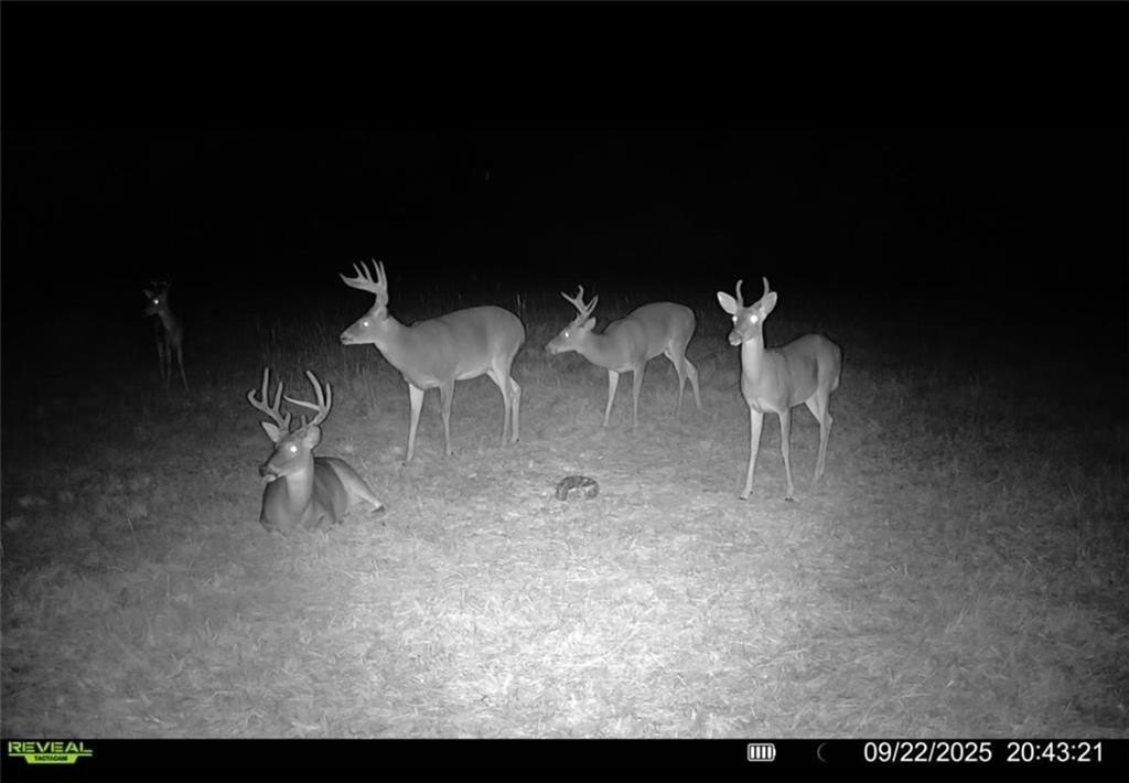 Picture 9