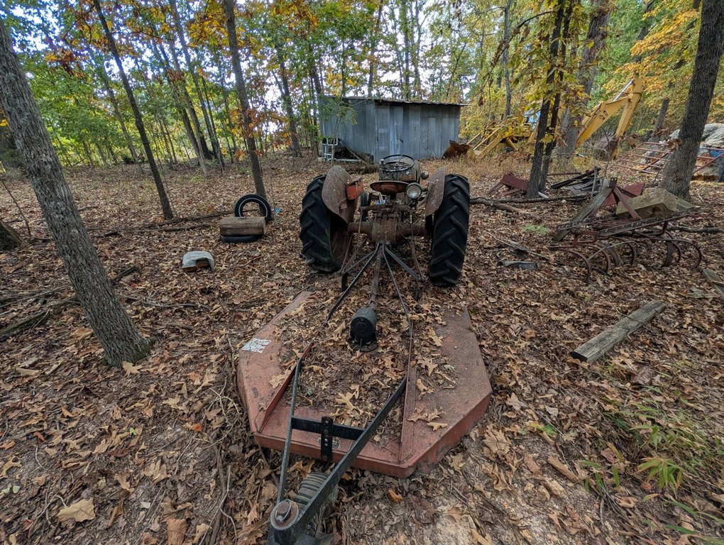 Picture 6