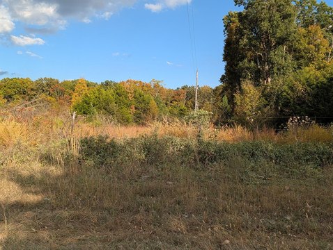 Land, Fordland, MO