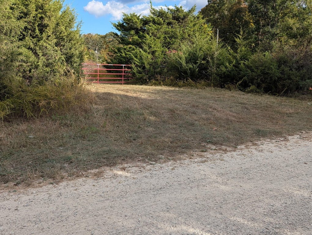Picture 19
