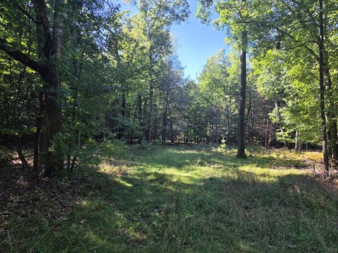 Land, Montague, MI