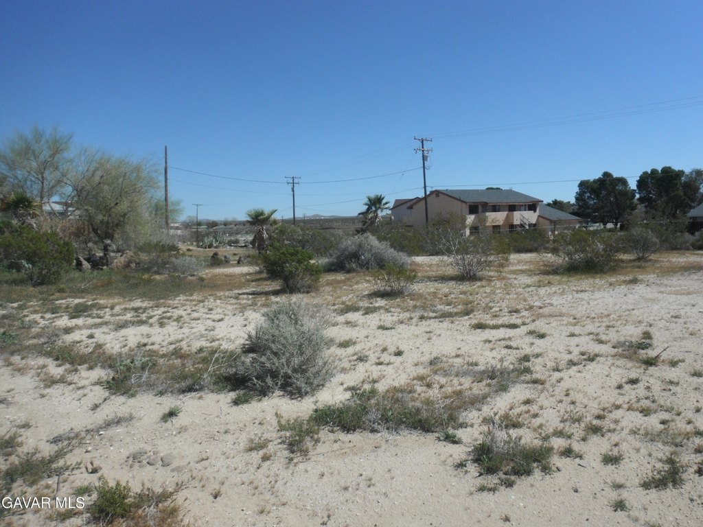 Picture 2
