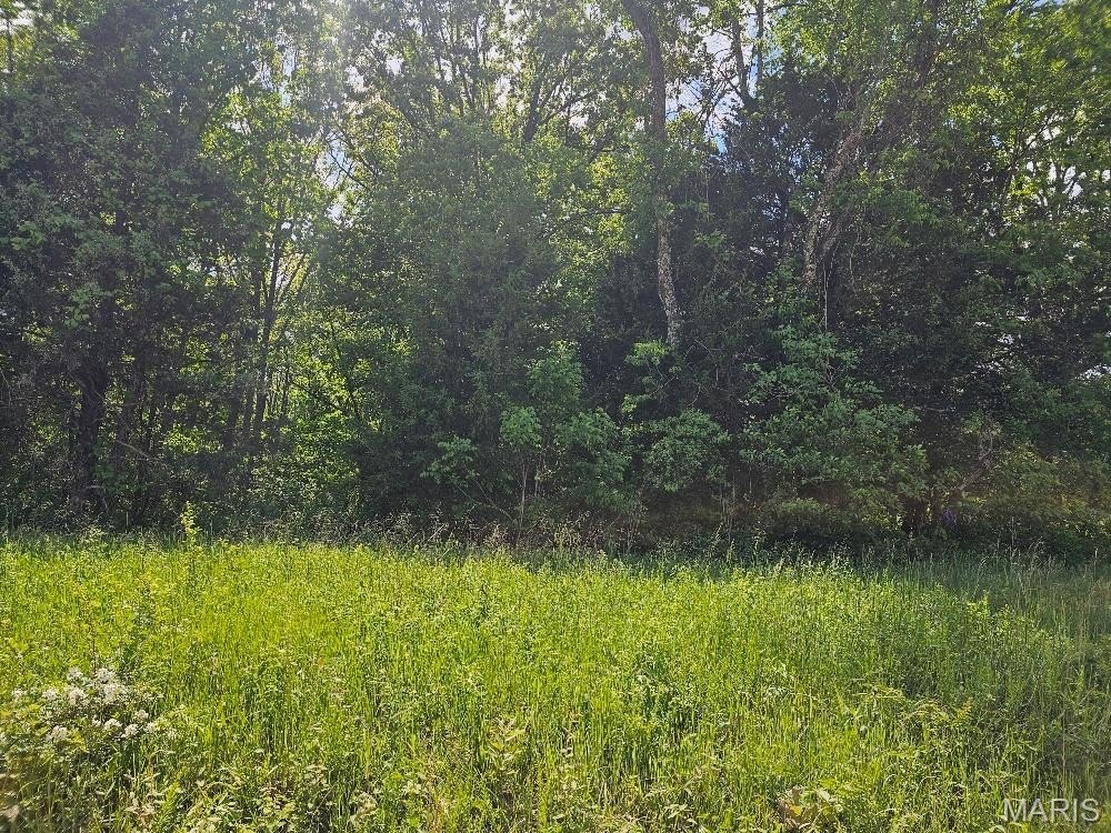 Picture 8