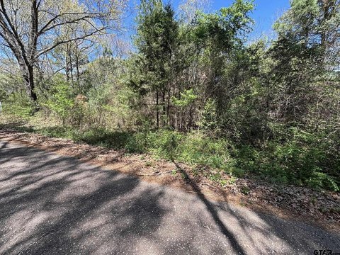 Tyler, TX Rural Acreage