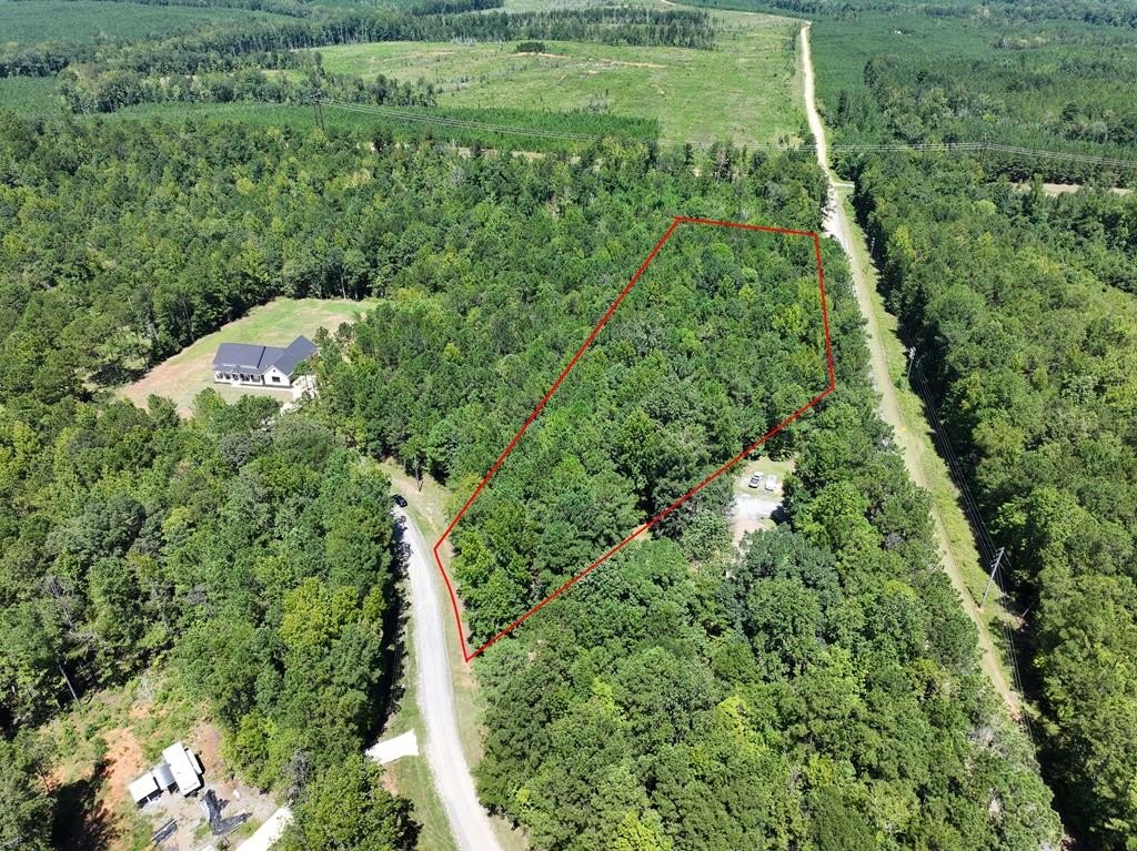 Wooded Lot in Box Springs